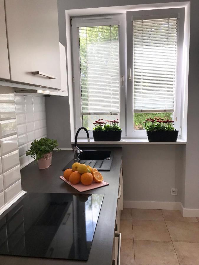 Klimatyczny Apartament Pod Ratuszem -Ul. Slaska 2 Częstochowa Eksteriør bilde